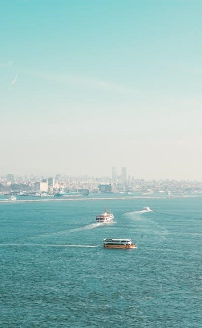 pexels-photo-31202503